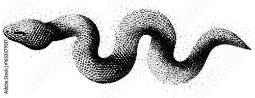 Intricate stippling dotwork of snake with scaled skin pattern for tattoo design