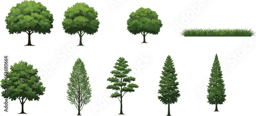 Tree collection illustration, deciduous and conifer trees, nature landscape elements, green foliage plants, forest and garden outdoor design set.