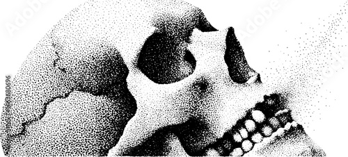 Surreal stipple and dotwork skull illustration distortion effect