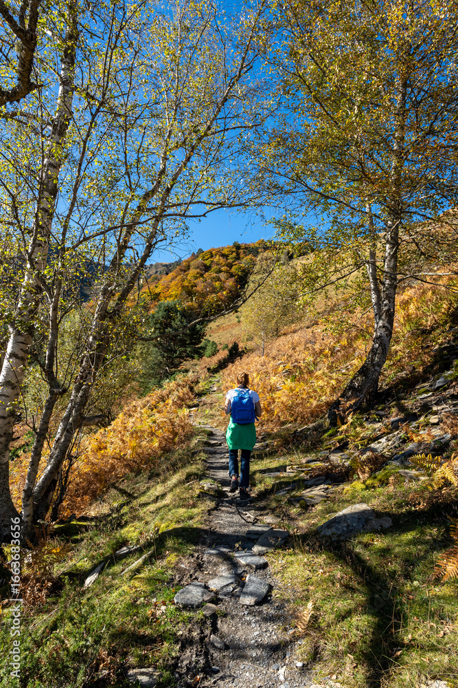 Naklejka premium Woman walking in the woods in autumn. Pyrenees, France. Shooting from the back.