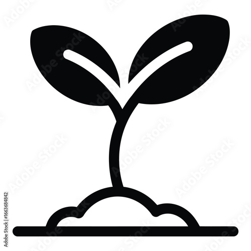 Sprout growing from soil