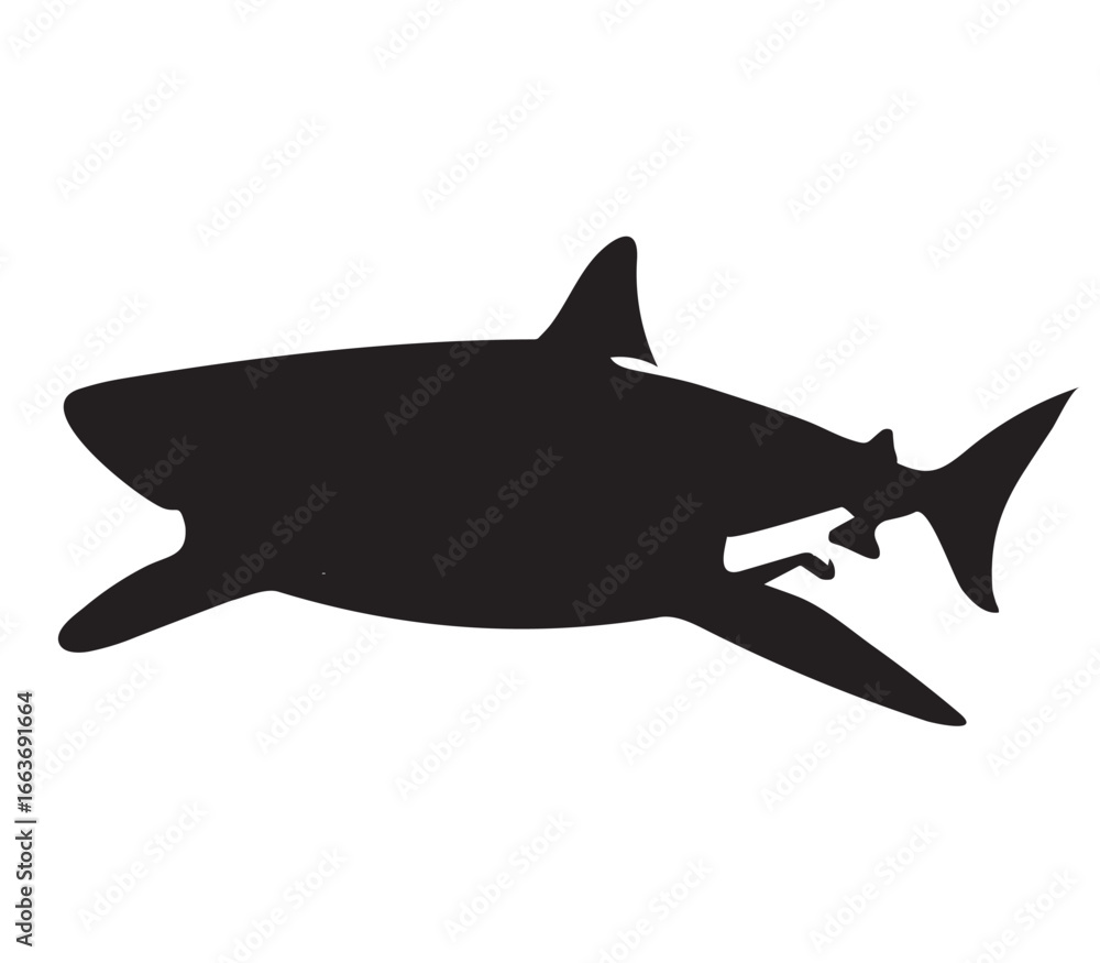 Obraz premium shark vector illustration