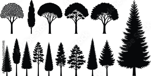 Collection of tall tree silhouettes, pine, cypress, and broadleaf varieties, forest design vector set for nature, landscaping, or illustration projects