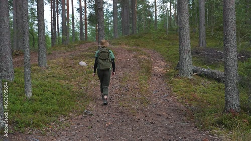 Wallpaper Mural A female traveler with a hiking backpack is wandering through a coniferous forest. Spending time in the summer forest. Hiking in a picturesque forest. Torontodigital.ca