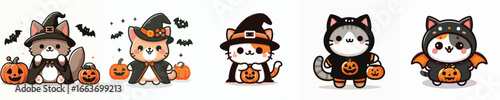 Halloween costume cat vector