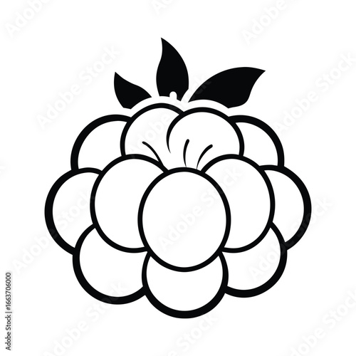 Vector Cloudberry