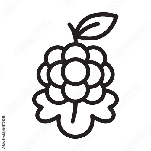 Cloudberry Fruit