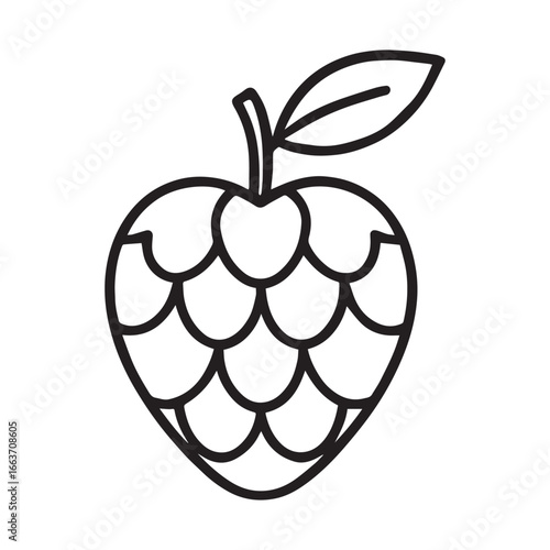 Tropical Cherimoya Fruit