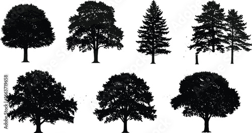 Collection of highly detailed black tree silhouettes, vector set featuring various deciduous oak, coniferous pine, and fir species, isolated on white background for design.