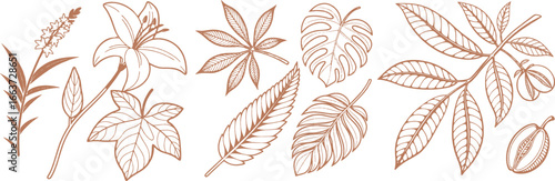 Elegant botanical illustration set with flowers and leaves in fine line art style. Natural elements ideal for eco design, patterns, packaging, and decorative prints. Perfect for vintage and modern pro