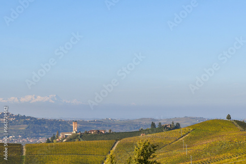 A view of the Langhe vineyard hills, Unesco World Heritage Site, with the old village of Barbaresco in autumn, Cuneo province, Piedmont, Italy