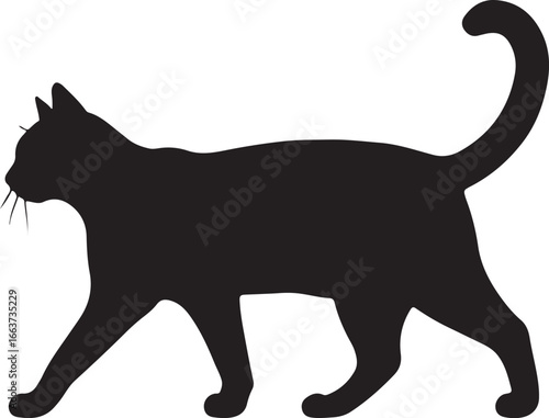 Black cat walking silhouette animal