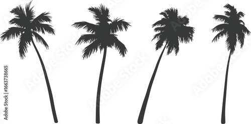 Four tropical palm tree silhouettes with leaning trunks in a row, isolated on white background, perfect vector illustration for summer and travel designs