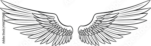 Angel Wings Vector Line Art, Symmetrical Feather Design Illustration, Spiritual Symbol, Fantasy or Tattoo Style for Decorative, Religious, or Artistic Projects