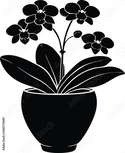 Orchid Pot Silhouette, Orchid Potted Plant Vector