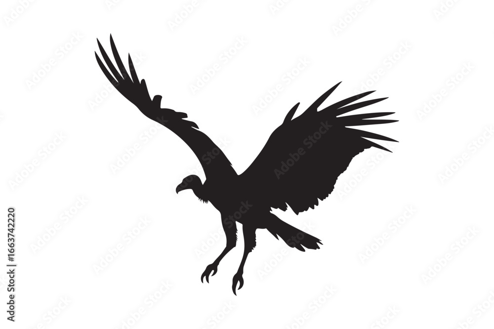 Obraz premium Silhouette of a vulture in flight with wings spread wide