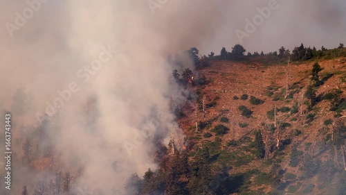 Wildfire burning on the mountain in Provo, Utah in Buckley Draw.