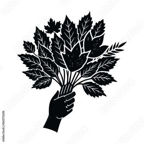 Hand holding a bunch of leaves and stems