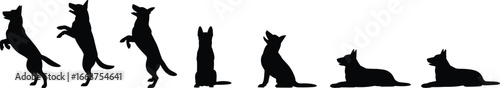 German shepherd dog silhouette collection, jumping, sitting, lying, training poses, obedient pet, vector illustration for animal lovers, trainers, designers
