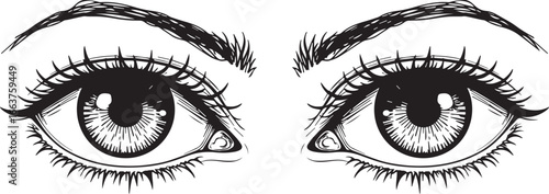 Captivating Gaze: A detailed ink illustration of two expressive eyes, showcasing intricate textures, and depth, creating a visually stunning representation of human perception.