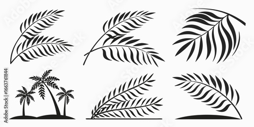 Black Silhouette Palm Fronds and Tropical Trees Collection