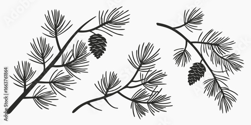 Black Silhouette Pine Branches with Cones