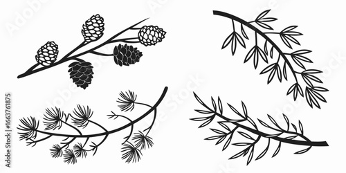 Black Silhouette Pine Cones and Pine Needles Branches