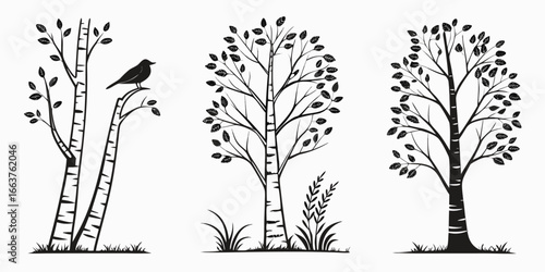 Black Silhouette Trees with Bird and Grass