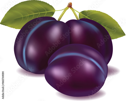 ripe plums isolated on white