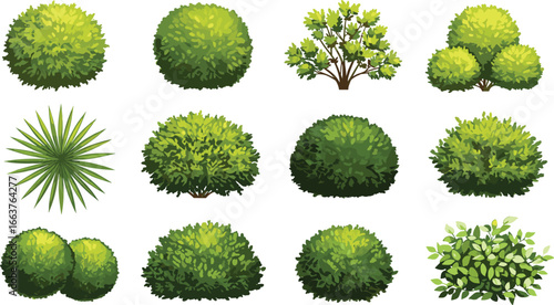 Vector Set of Green Garden Bushes and Shrubs colorfull Bush, shrub, plant, hedge, topiary, foliage, greenery, vector set, icon collection.