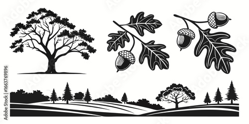 Silhouette of Oak Tree and Acorns with Landscape