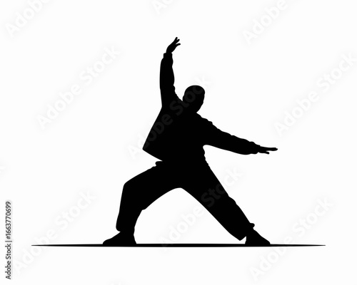 Silhouette of a person in a martial arts stance with arms raised and one leg extended for balance
