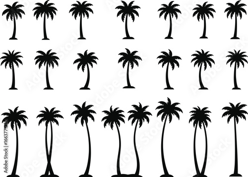Set of various black palm tree silhouettes isolated on white background, tropical island vacation travel summer beach vector flat illustration