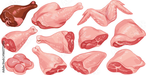 Raw chicken meat assortment, fresh poultry cuts collection, uncooked drumsticks, wings, thighs, chicken parts for cooking, healthy protein source, fresh meat ingredients, food preparation essentials