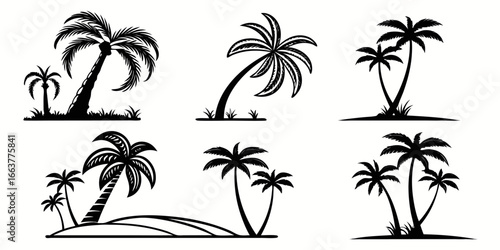Tropical Palm Trees Silhouette Collection