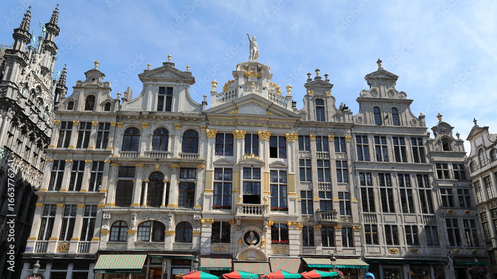 Fototapeta premium Bruxelles : Maison du Pigeon (Grand-Place)