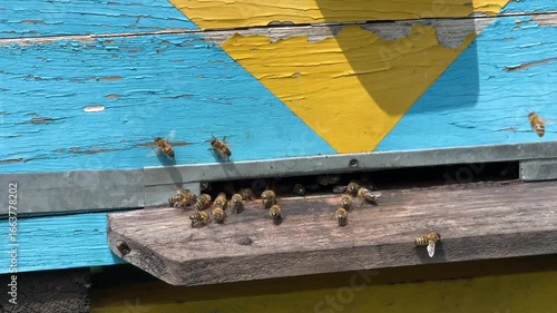 Close-up of a beehive entrance with bees actively flying out and returning with nectar. Beekeeping and pollination process in natural environment.