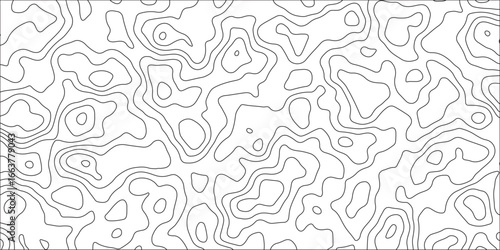 Geographic grid topographic line backdrop. contours map grid wave vector topography stylized height of the lines map. topography line wave paper curved reliefs background black and white