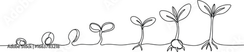 Silhouette of plant growth stages from seed to mature bloom, c, nature cycle, development, biology, agriculture