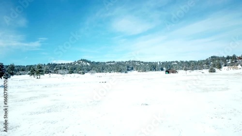 Discover the serene beauty of a snow covered landscape under a bright blue winter sky