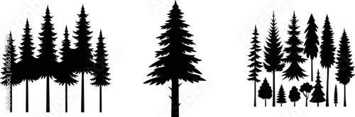 Pine or Fir tree silhouette. Vector illustration