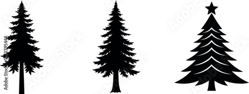 Pine or Fir tree silhouette. Vector illustration