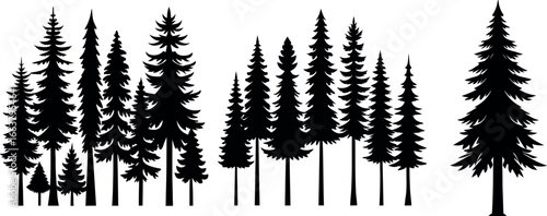 Set of pine trees silhouette. Hand drawn silhouette of fir tree. Large collection of Christmas tree silhouette. Vector illustration