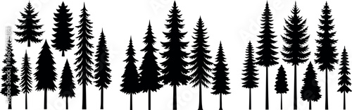 Set of pine trees silhouette. Hand drawn silhouette of fir tree. Large collection of Christmas tree silhouette. Vector illustration