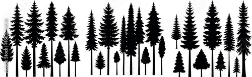 Forest tree silhouettes collection. Pine trees horizontal pattern panorama backgrounds. Vector illustration