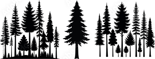 Forest tree silhouettes collection. Pine trees horizontal pattern panorama backgrounds. Vector illustration