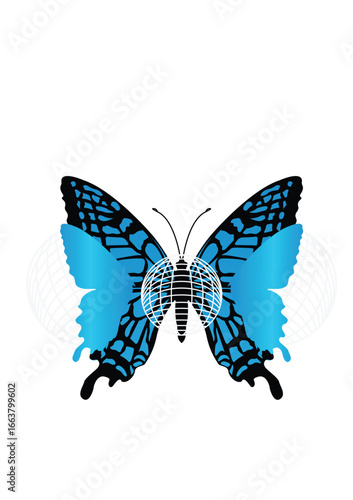 Schmetterling