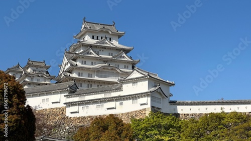Quadro su tela Himeji Castle in Japan