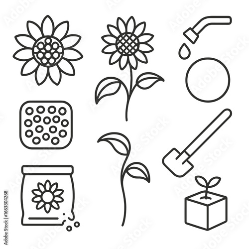 Minimalist Sunflower Icons. Outline style icons of Minimalist Sunflower: flattened petal wheel, pebble seed field, bent stem