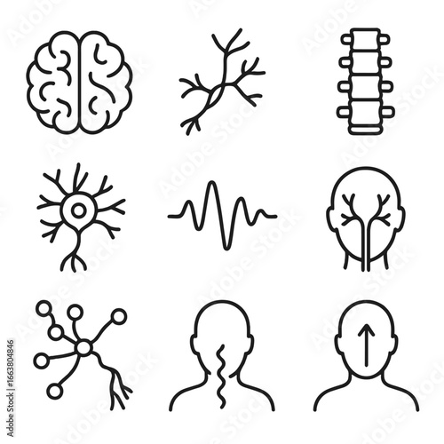 Brain and Nerve Icons. Line style icons of brain and nerve icons: brain hemispheres, nerve line, spine cord, neuron icon,